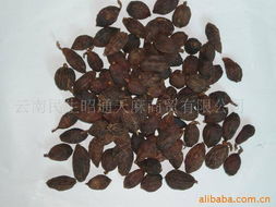 別義民油畫(huà)相關(guān)產(chǎn)品