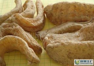 供應產地直供深山優質出口級干天麻!_醫藥、保養_世界工廠網中國產品信息庫