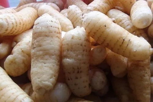 貴州德江向全世界發(fā)出邀請(qǐng)